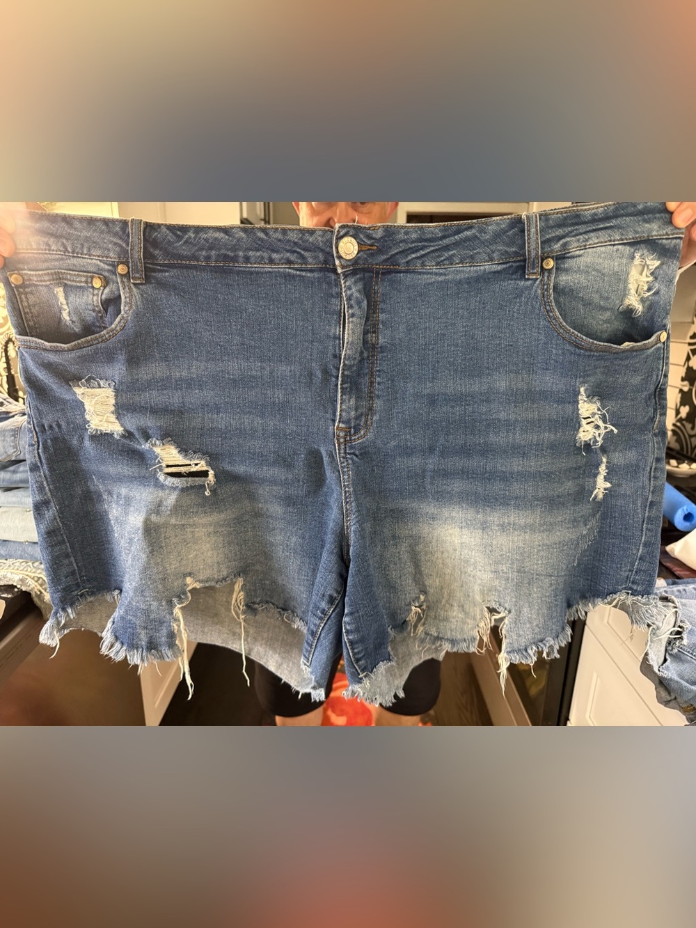 Eloquii Denim Jean shorts